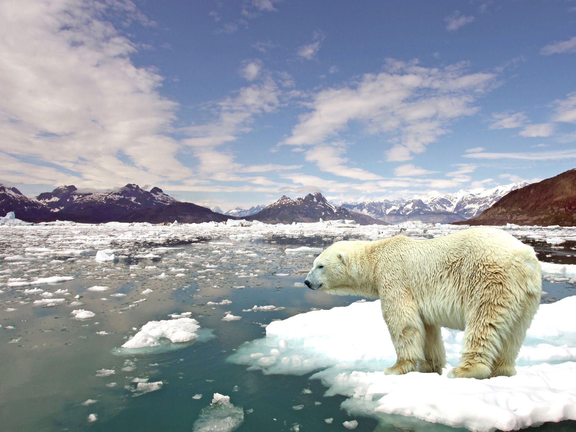 Emerging trends in infrastructure