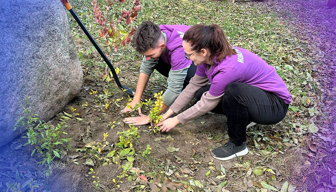 Sprzątanie lasu w Łodzi