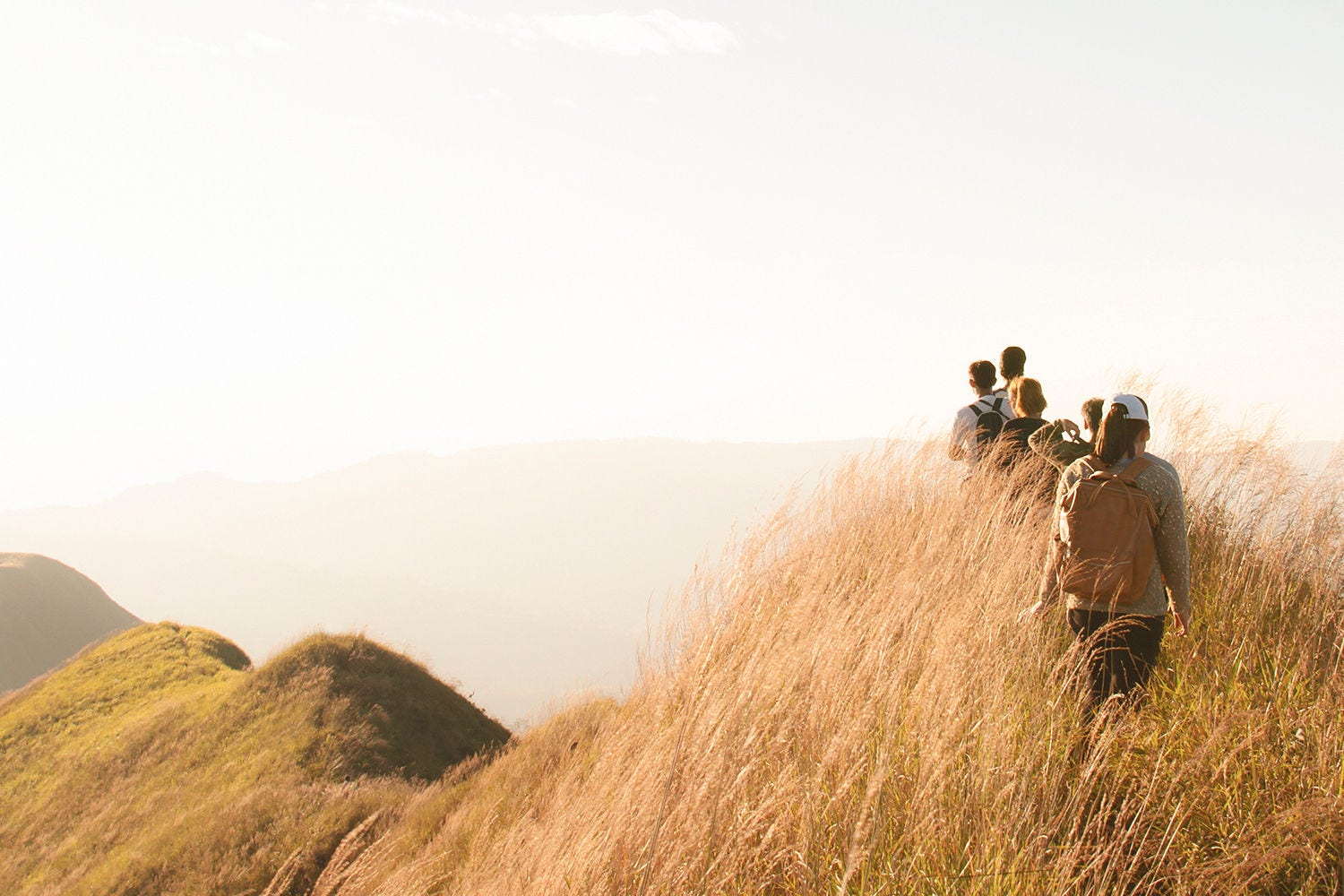 A group of people trekking