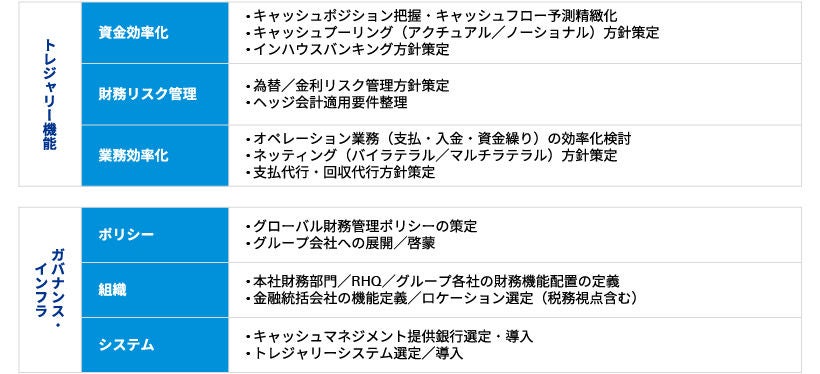 トレジャリーマネジメント導入／高度化支援