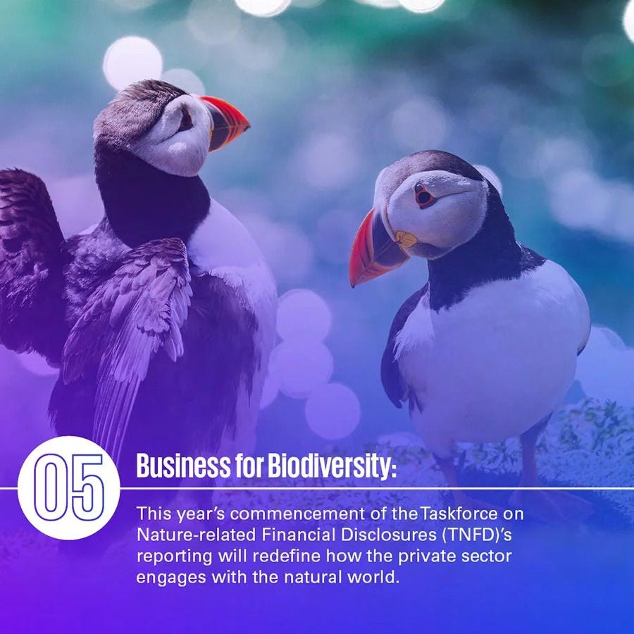 05 Business for biodiversity