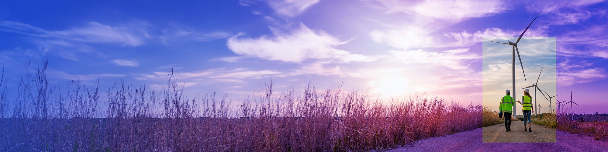 Workers walking on a path near windmills