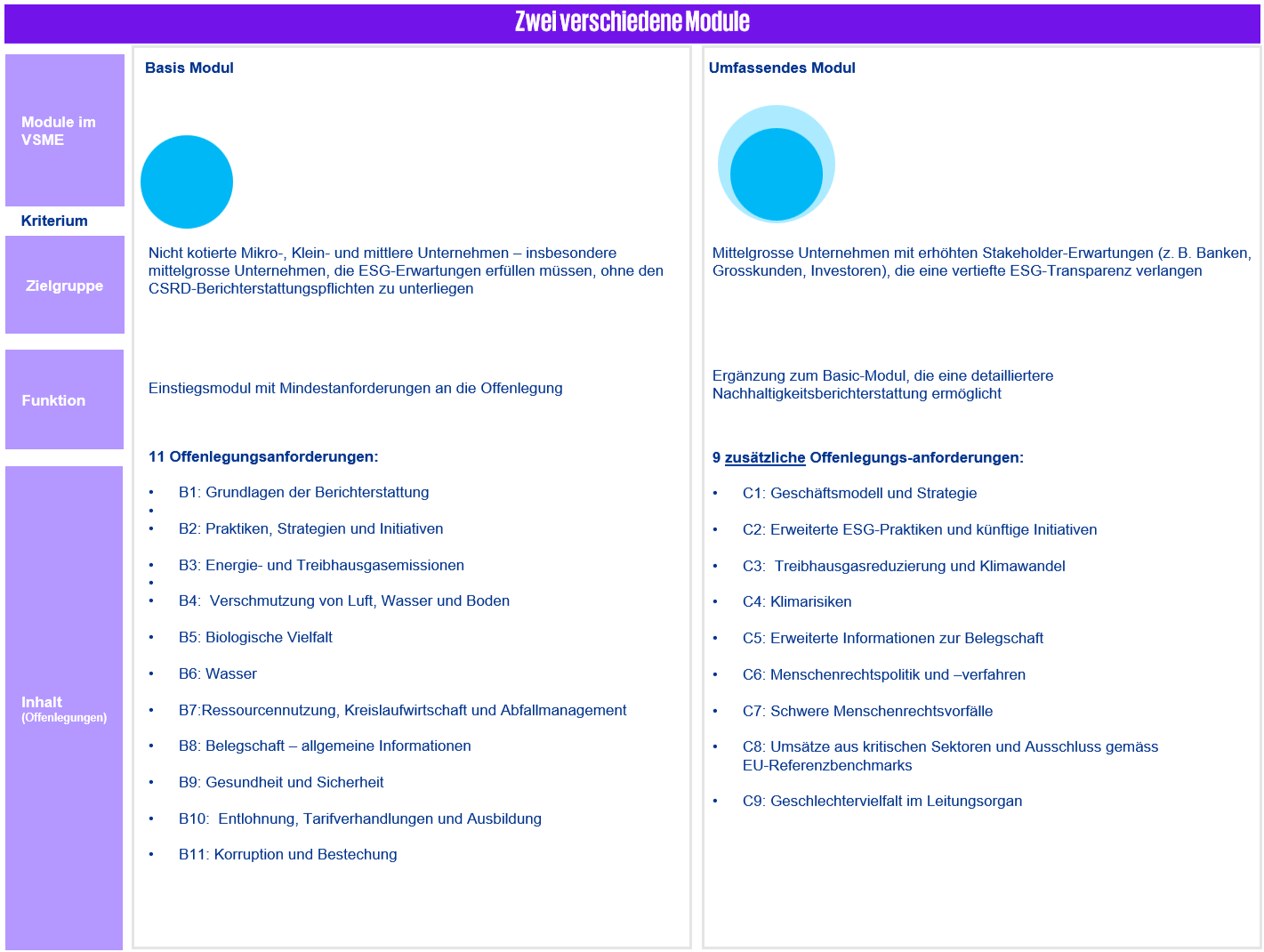 VSME Module