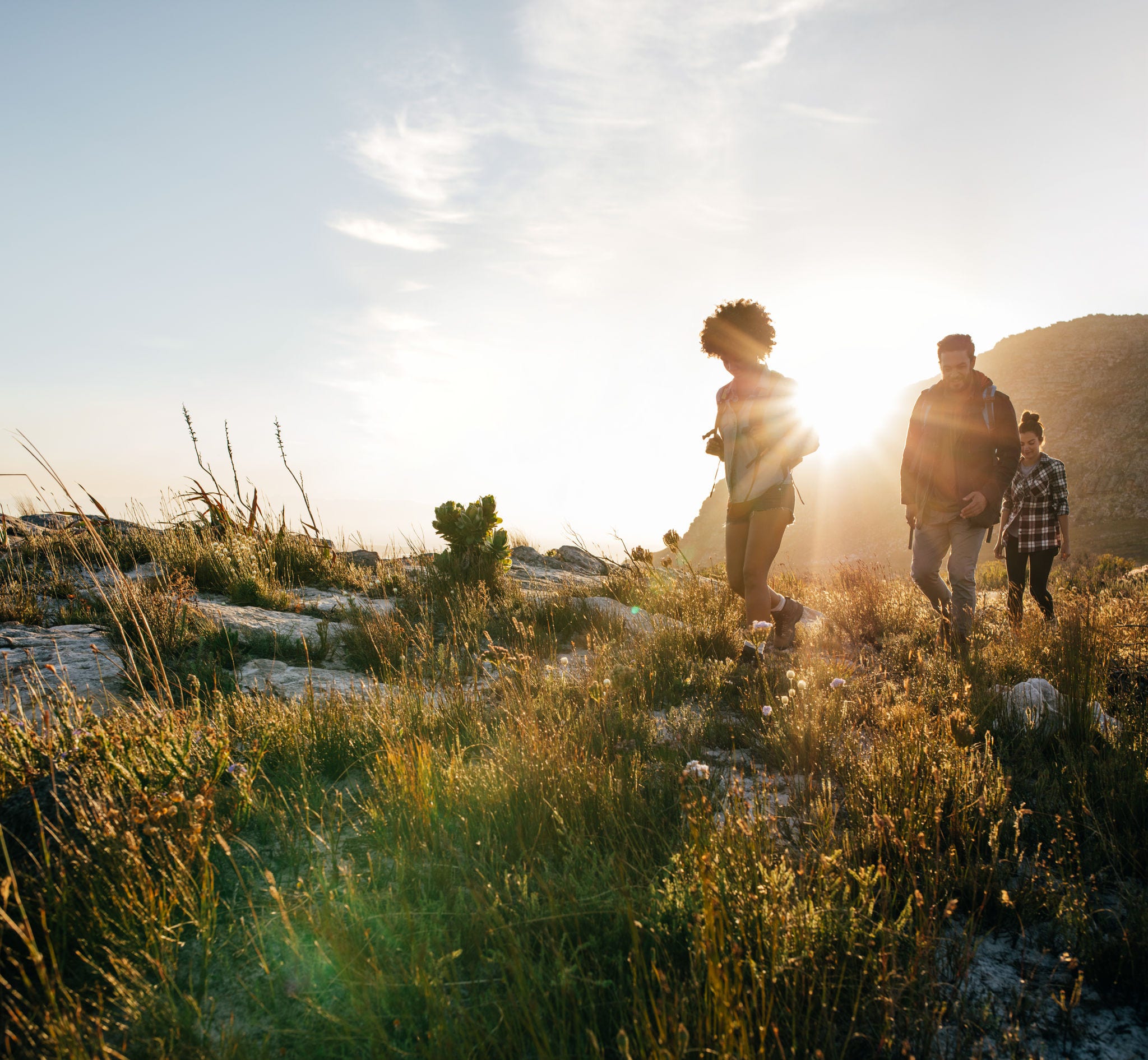 Group of friends are hiking in mountain on a sunny day. Young people walking through countryside.