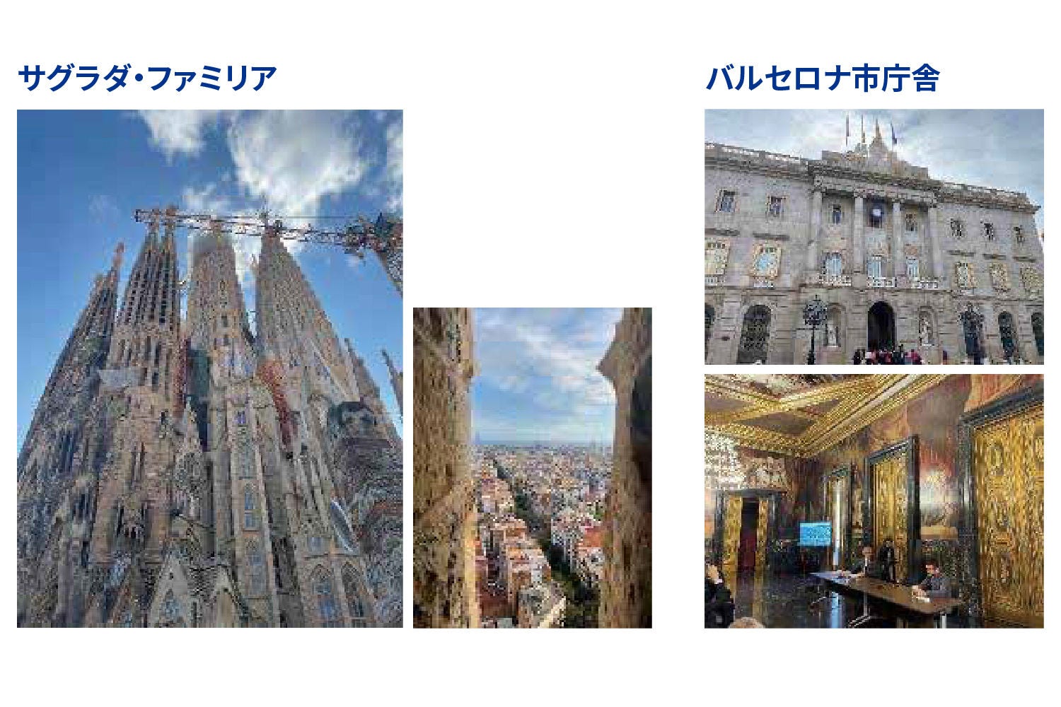 図表5 魅力的な観光コンテンツ