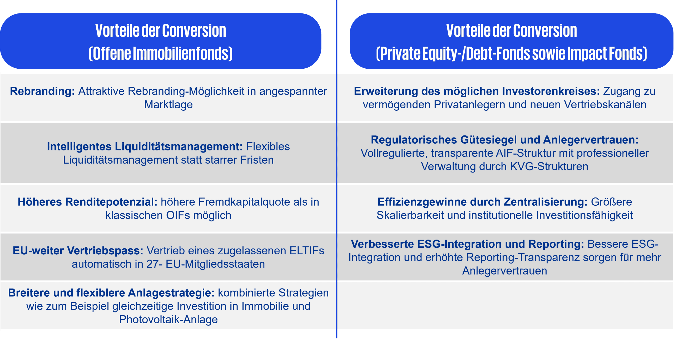 Bechreibung der Vorteile