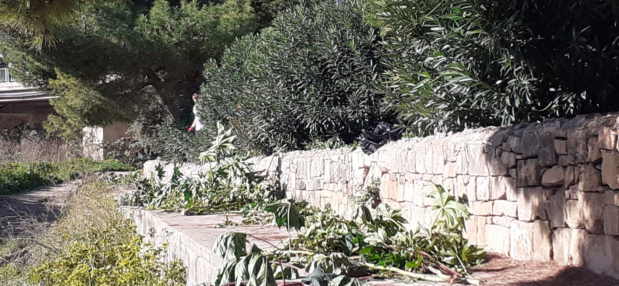 Clean up in Wied Qirda