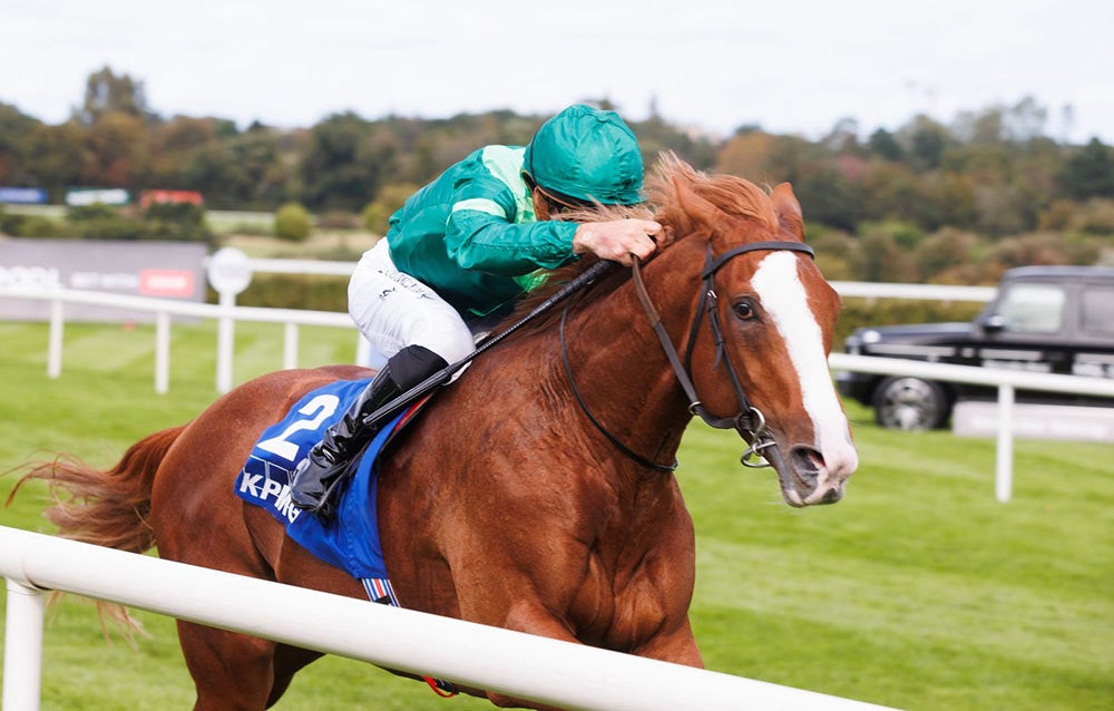 KPMG Champions Juvenile Stakes