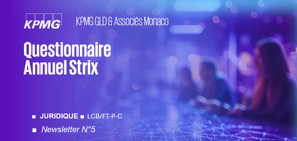 Questionnaire Annuel Strix