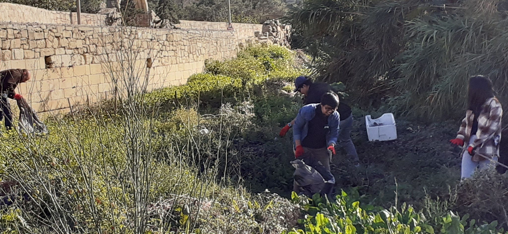 Clean up in Wied Qirda