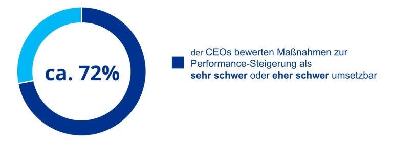 Kreisdiagramm zur CEO Massnahmen-Einschaetzung