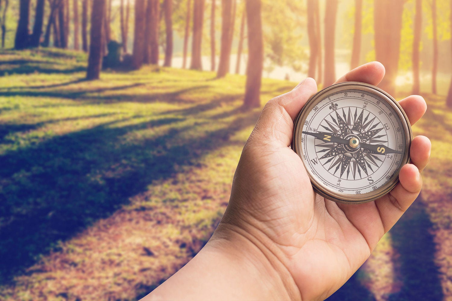 Kompass im Wald