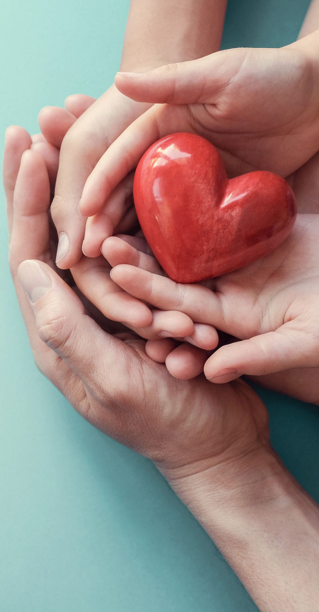 Family hands holding red heart, heart health insurance, organ donation, happy volunteer charity, CSR social responsibility,world heart day, world health day,world mental health day,foster home concept