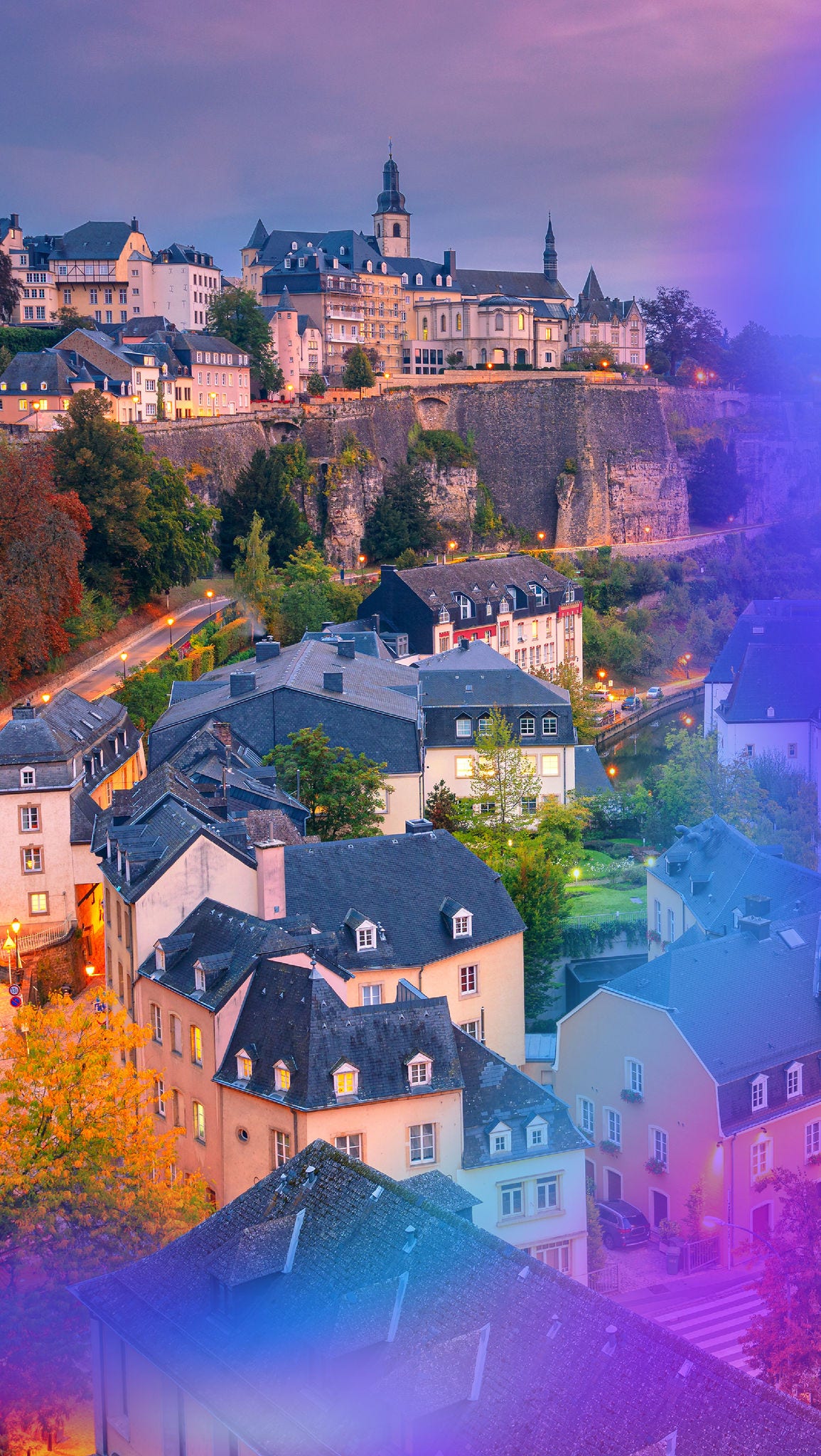 Project new visuals careers