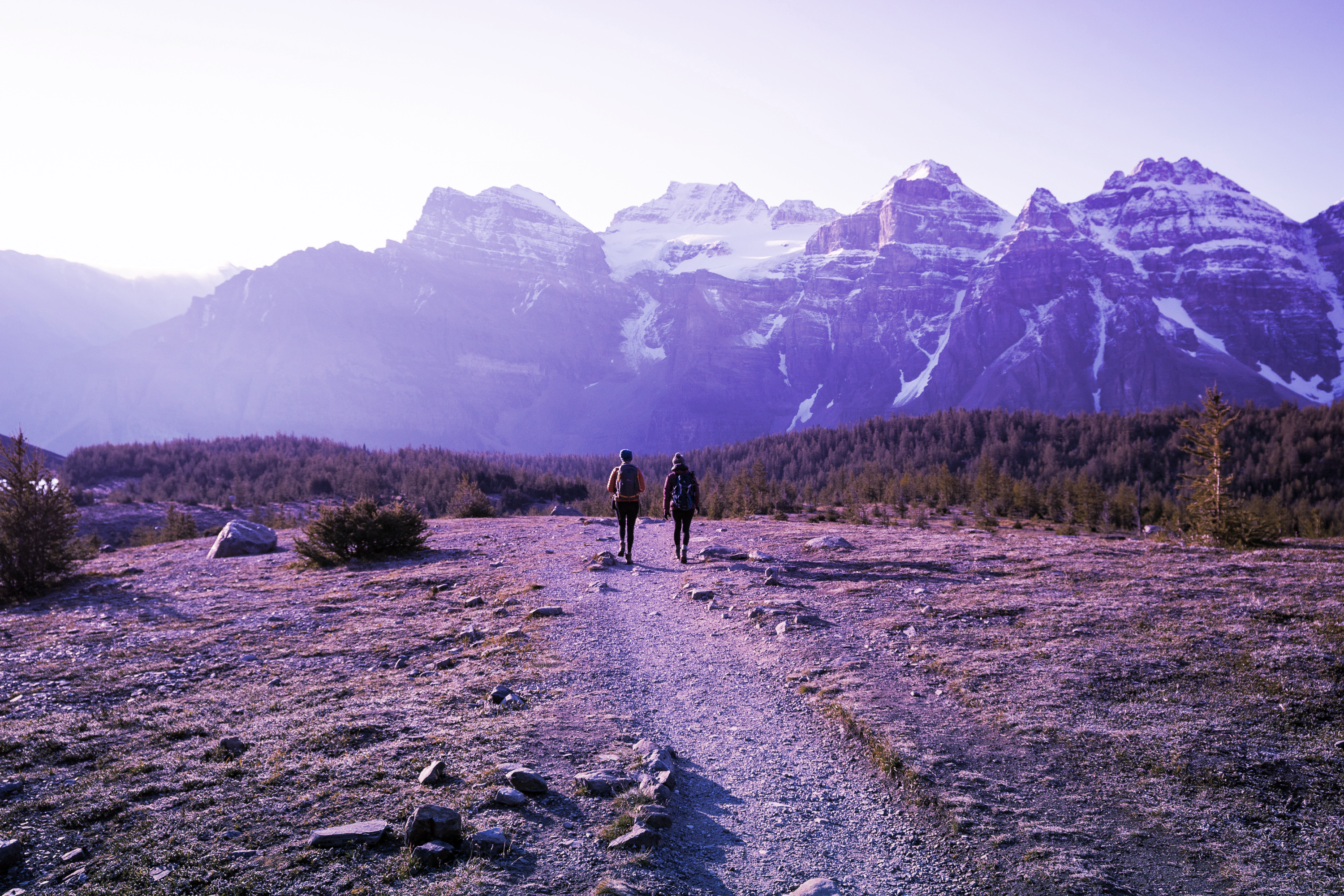 Pesquisa sobre Relatórios de Sustentabilidade 2024