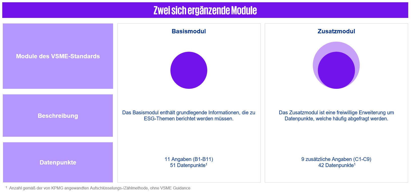 Zwei VSME-Module: Basismodul mit verpflichtenden ESG-Informationen (11 Angaben B1–B11, 51 Datenpunkte) und Zusatzmodul als freiwillige Erweiterung mit häufig abgefragten Daten (9 Angaben C1–C9, 42 Datenpunkte). Seitenleiste: Module des VSME-Standards, Beschreibung, Datenpunkte.