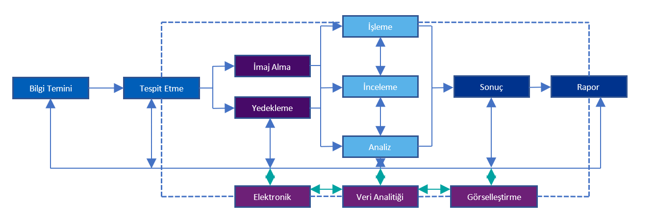 forensic-chart.png