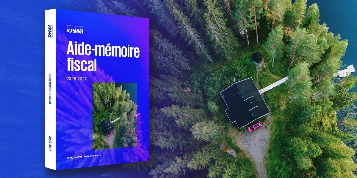 Vue aérienne d'un chalet en forêt, au bord d'un lac