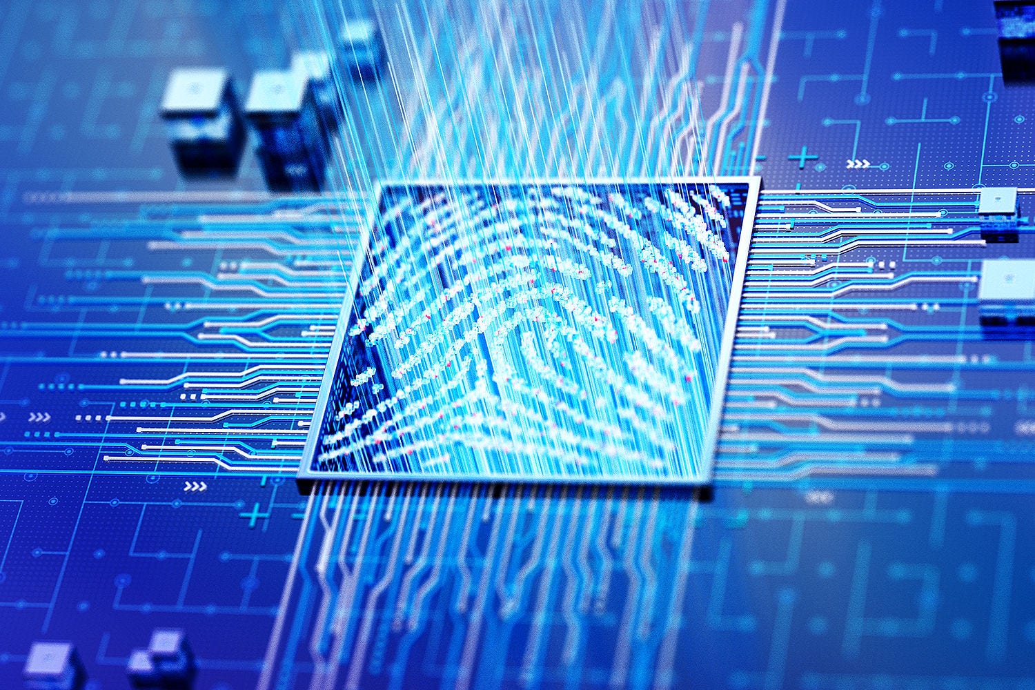 Colleagues in discussion