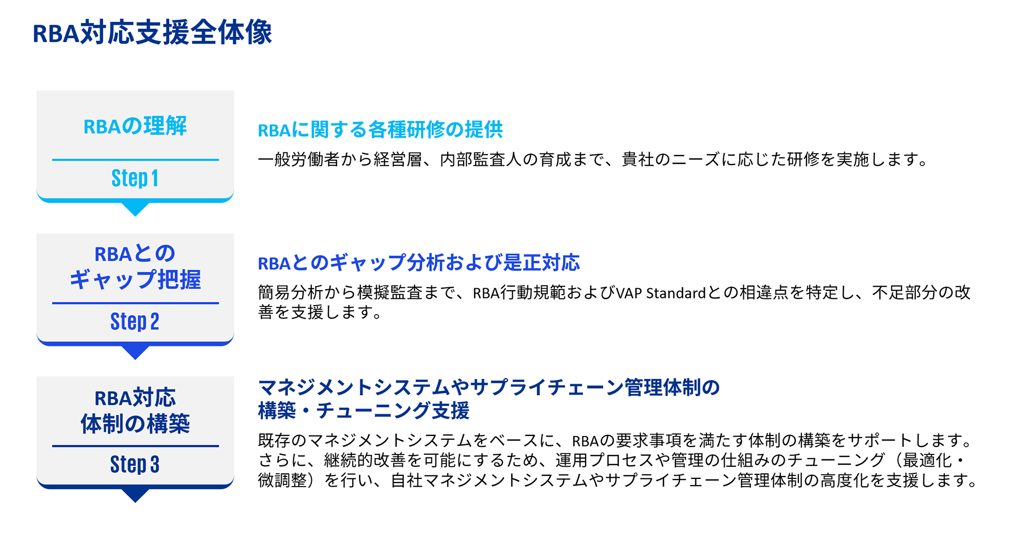 RBA対応支援業務 図表01