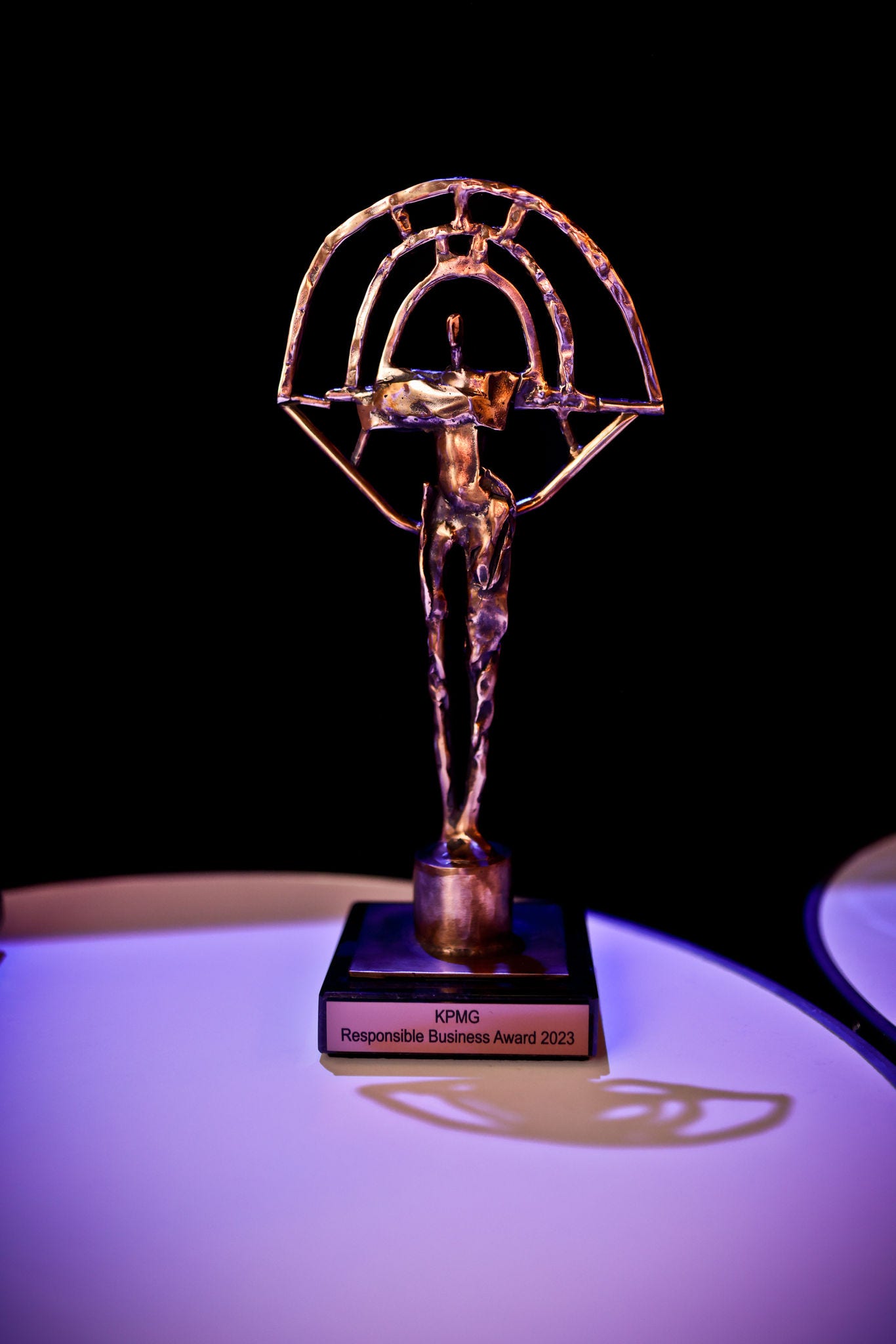 cena za zodpovedne podnikanie