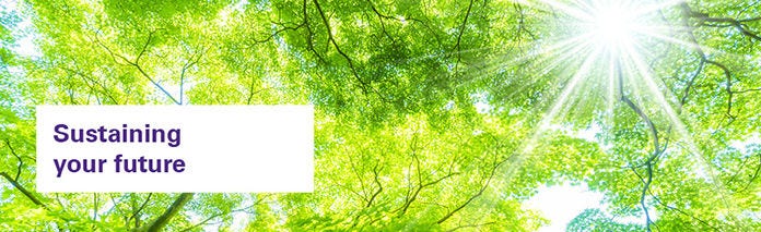 streamlinig future of business