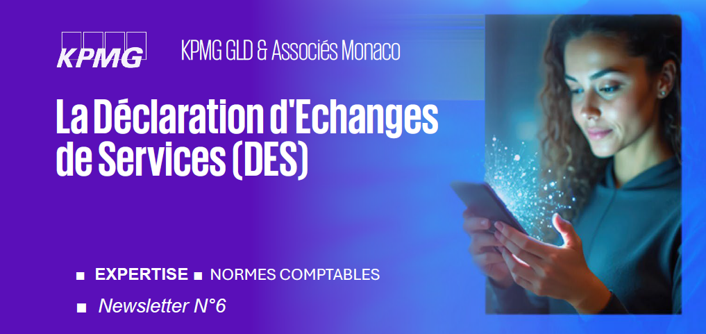 La Déclaration d'Echanges de Services (DES) - un risque à ne pas sous-estimer