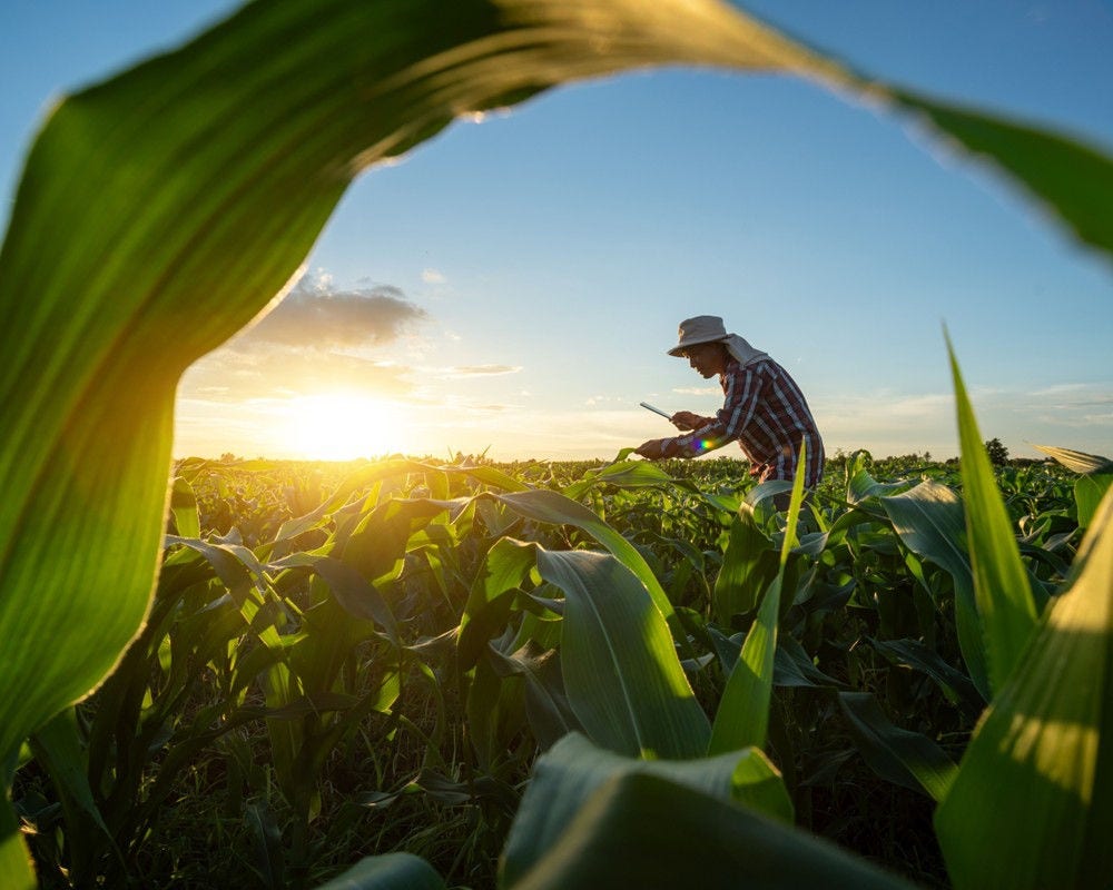 Person harvesting