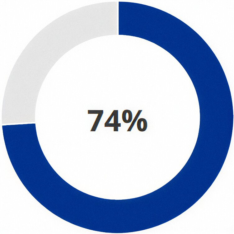 Gráfico Pie 74%