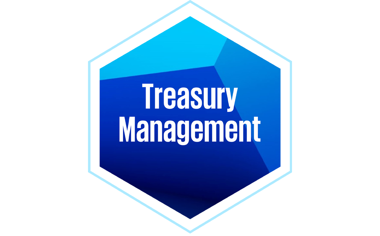 treasury management