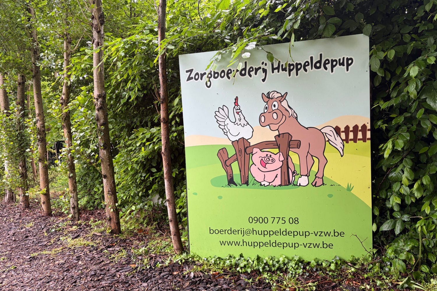 Huppeldepup