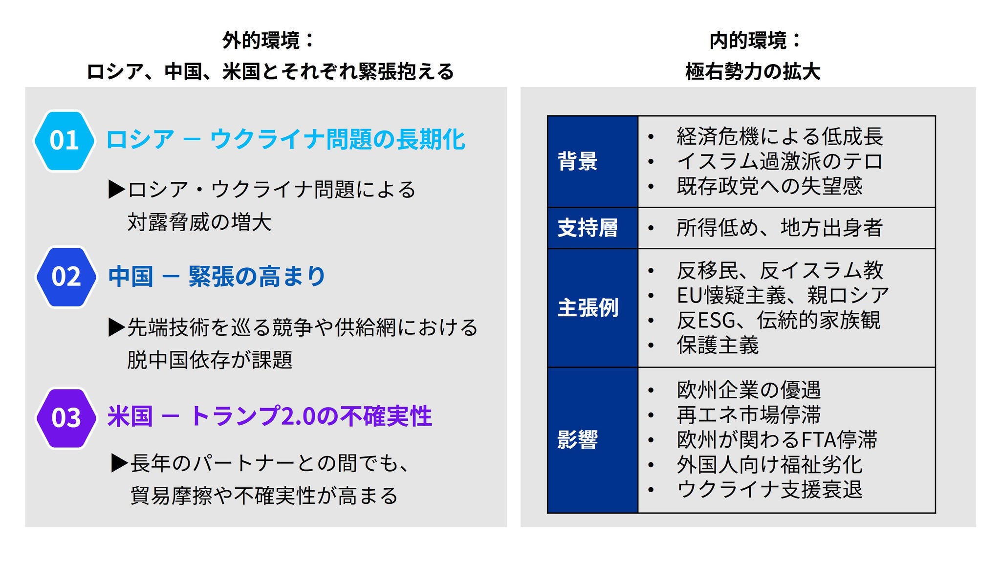Japanese alt text: 経済安全保障・地政学リスク2026_図表8