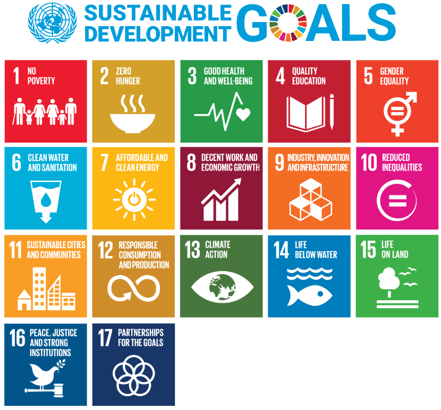 SDG banner