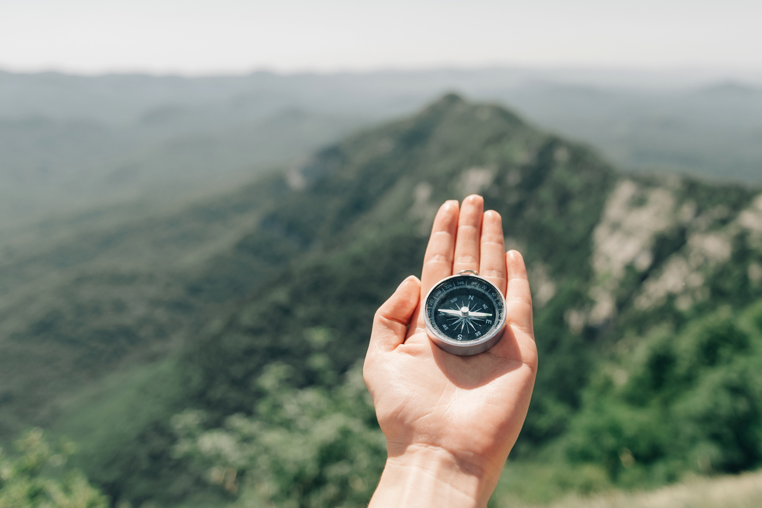 Hand holding a compass