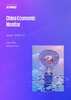 China Economic Monitor: 2024 Q1