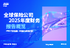 公司2025年度财务报告概览——IFRS 17实时追踪（中国样本深度扩容）
