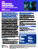 Nimbus Manticore - MiniFast Backdoor Deployment