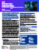 GodDamn Ransomware – Emerging Evolution of the Monster–Beast Lineage