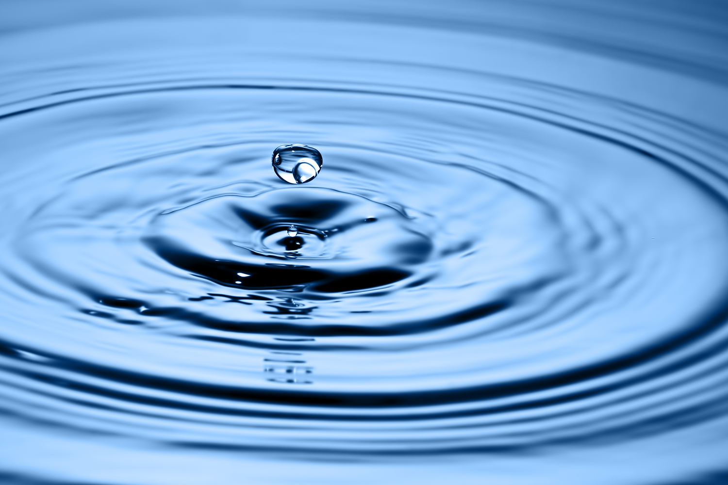 第1回】税務戦略を事業戦略の一環と位置付けることが、企業の持続的