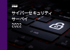 サイバーセキュリティサーベイ2022