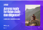  Are you ready for value chain due diligence?: A practical guide to demystifying the CSDDD  Opens in a new window