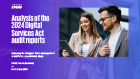  Analysis of the 2024/2025 Digital Services Act audit reports