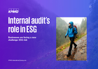Audyt wewnętrzny w ESG