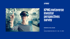 metaverse-investor-perspectives.pdf