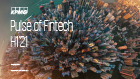 Pulse of Fintech H1’21