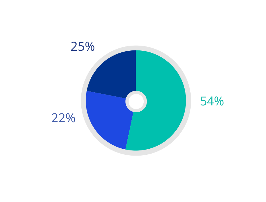 2021 Socio-economic background - Junior representation