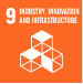 sdg icon