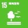 sdg icon