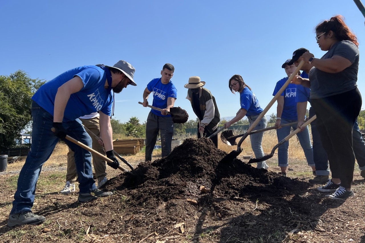 a group of volunteers turning soil with shovels