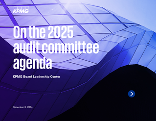 On the 2025 audit committee agenda